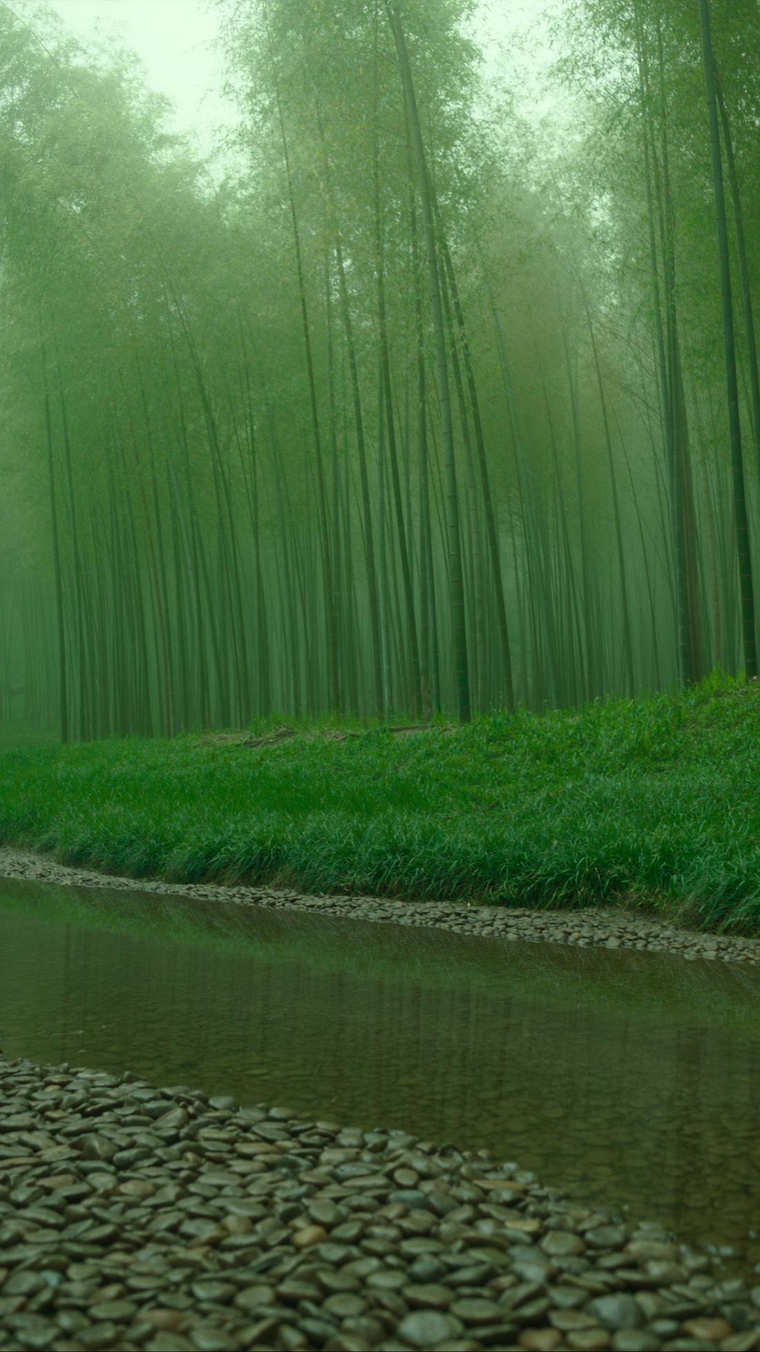 A misty bamboo grove above a shallow stone-bedded stream.